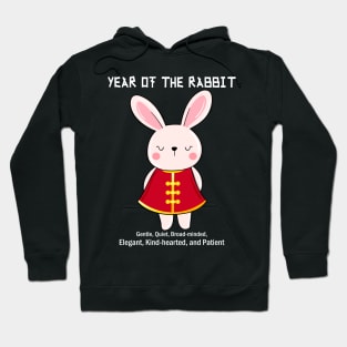 Year Of The Rabbit 2023 Zodiac Happy Chinese New Year 2023 Hoodie